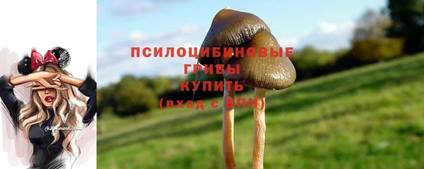 СК Нефтекумск