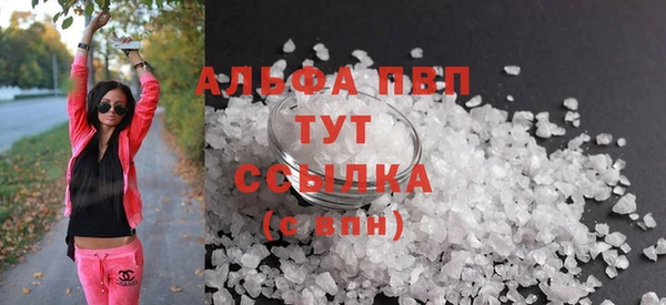 СК Нефтекумск